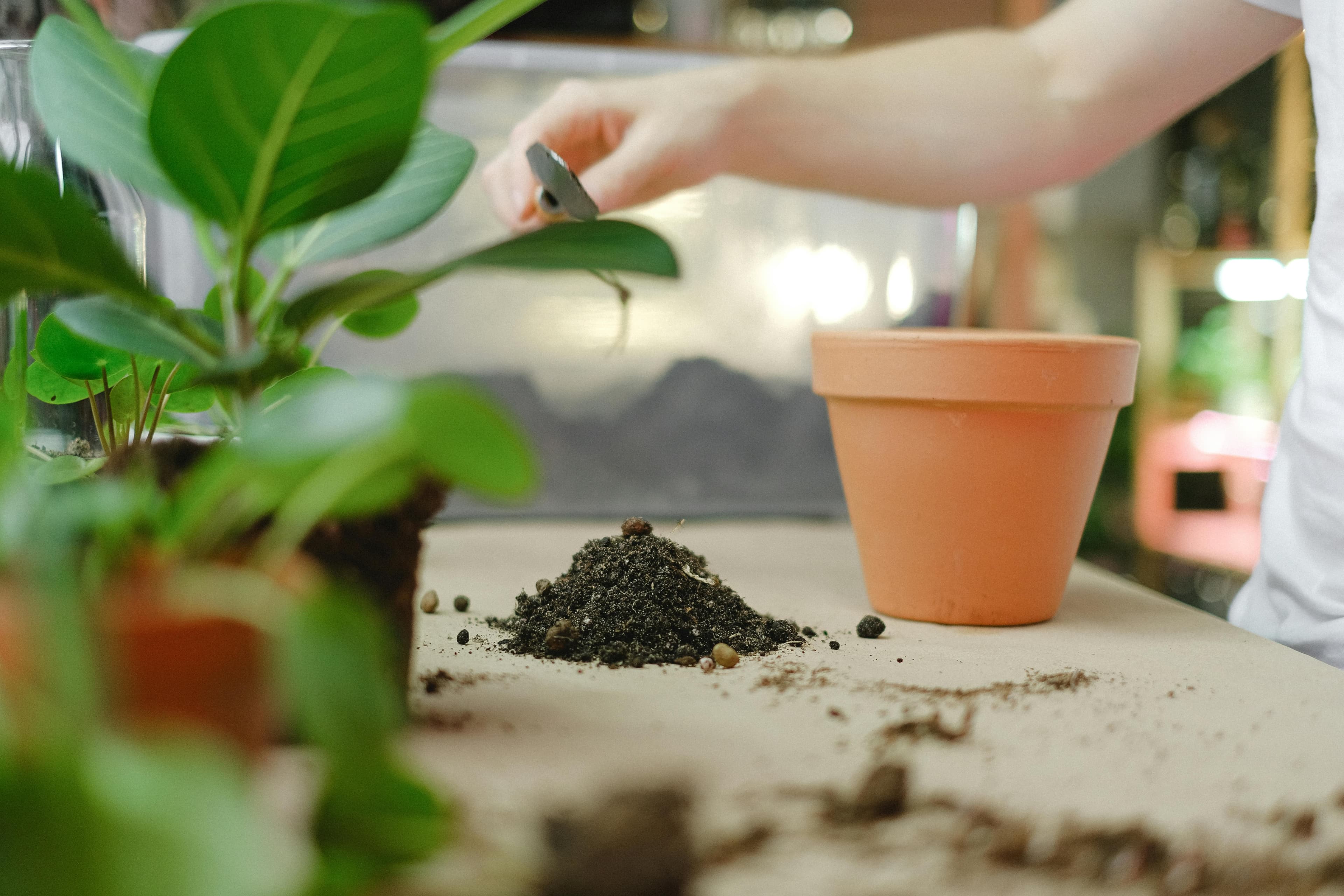 Innovative Bio-Organic Fertilizer Solutions